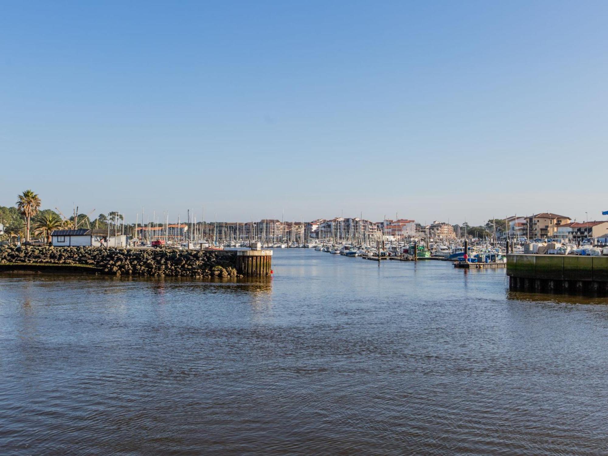קפברטון Apartment Les Terrasses Notre Dame Du Port-8 By Interhome מראה חיצוני תמונה